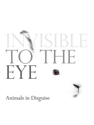 cover image of Invisible to the Eye: Animals in Disguise
